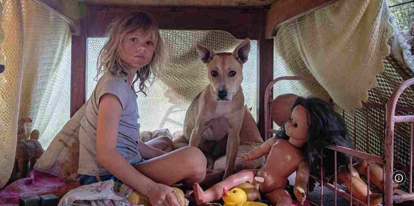 Don’t Let’s Go To The Dogs Tonight