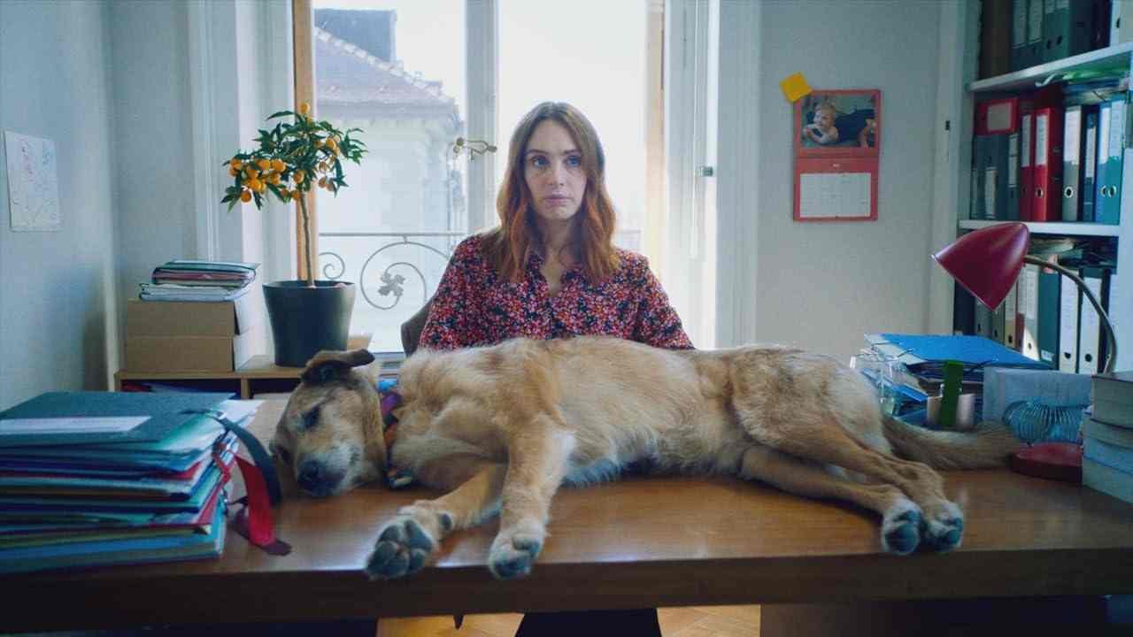 Kodi and Laetitia Dosch in Dog on Trial (2024)